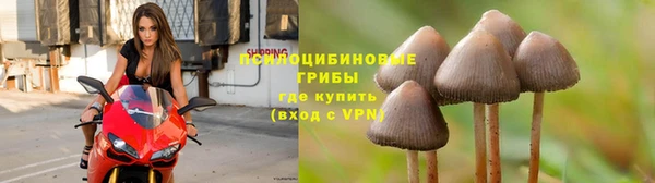 apvp Бугульма