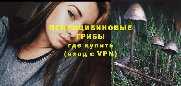 круглые Богородицк