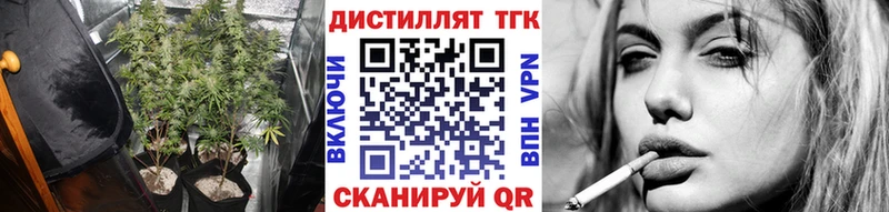 дарк нет Telegram  Долгопрудный  ТГК Wax 