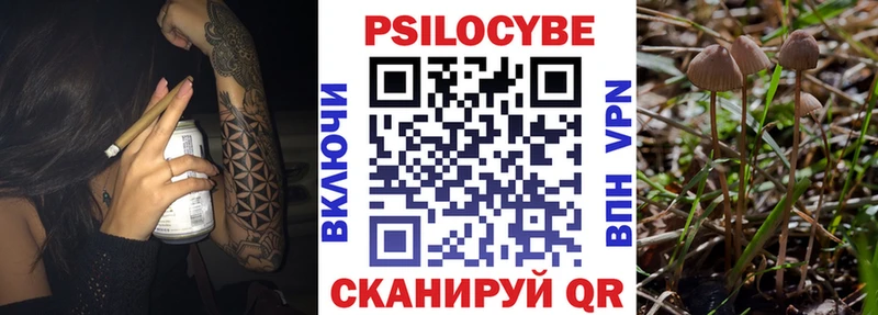 как найти   Долгопрудный  ОМГ ОМГ рабочий сайт  дарк нет наркотические препараты  Галлюциногенные грибы прущие грибы 